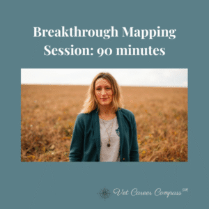 Breakthrough Mapping Session: 90 Minutes